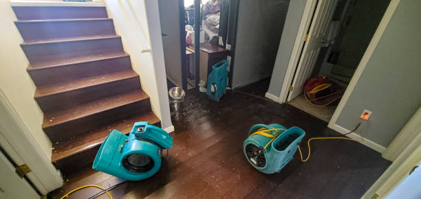 Best Emergency water damage restoration  in Thermopolis, WY