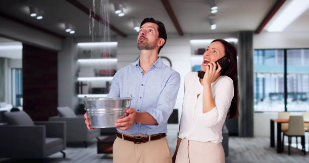 Best Mold removal after water damage  in Thermopolis, WY