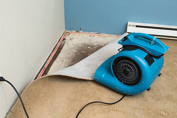 Best Commercial water damage restoration  in Thermopolis, WY